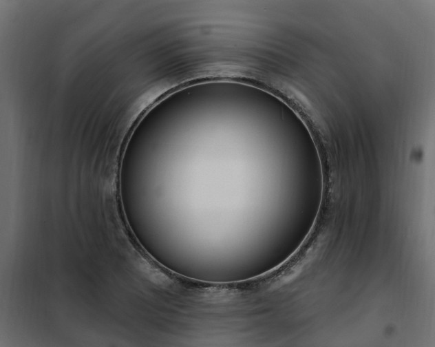 X0000102351081200808081149