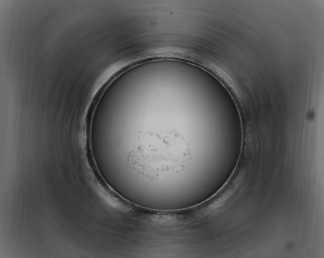 X0000102351082200808081149