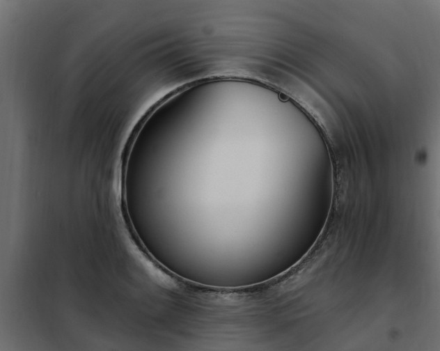 X0000102351084200808081149