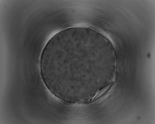 X0000102351087200808081149