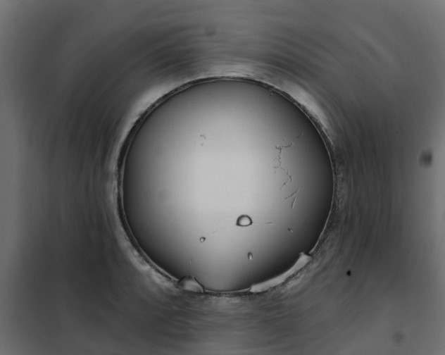 X0000102351088200808081149