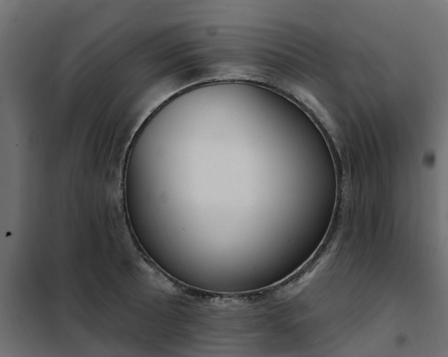 X0000102351089200808081149