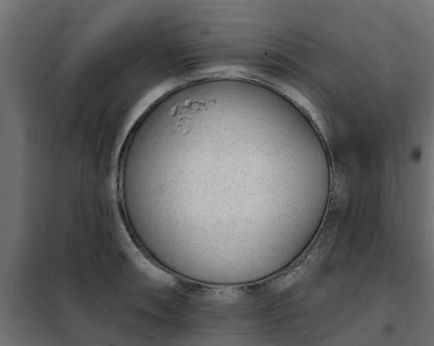 X0000102351090200808081149