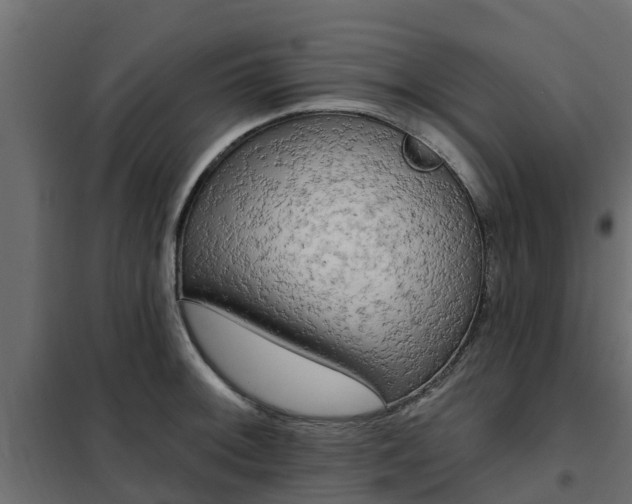 X0000102351092200808081149