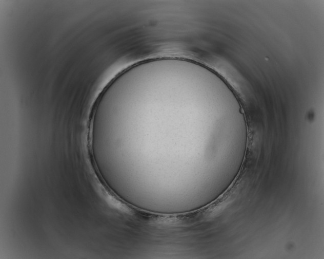 X0000102351094200808081149