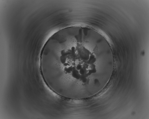 X0000102351095200808081149