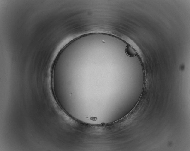 X0000102351096200808081149