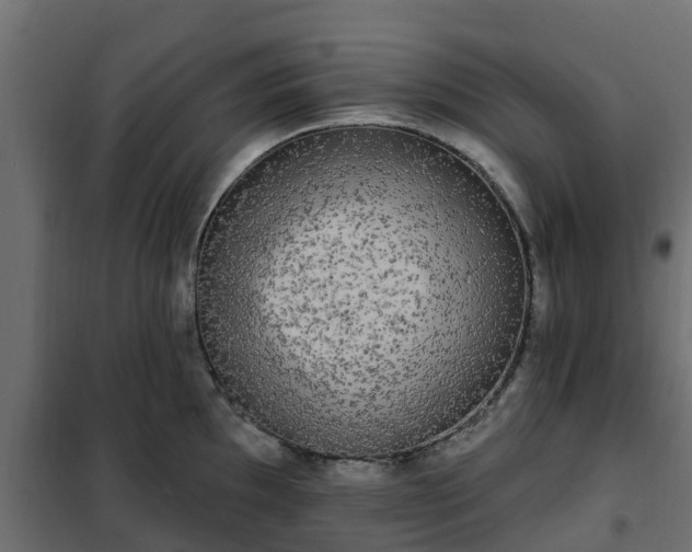 X0000102351097200808081149