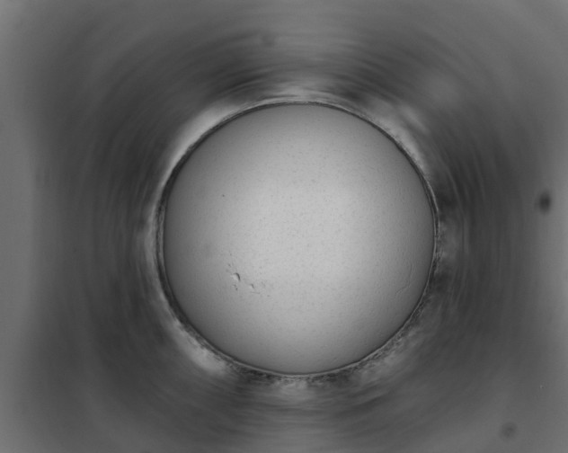 X0000102351098200808081149