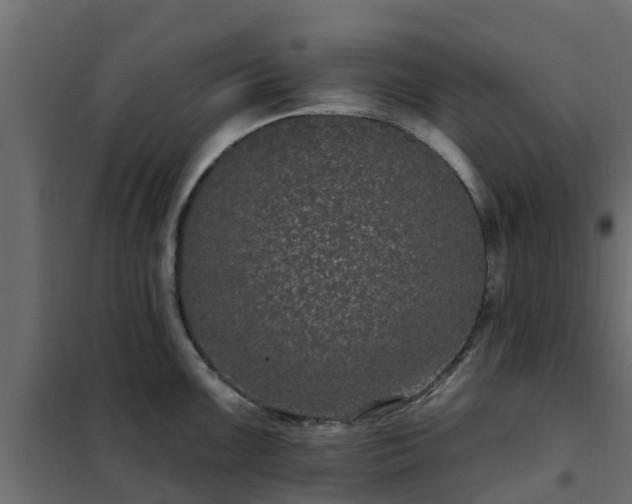 X0000102351099200808081149