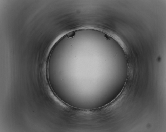 X0000102351100200808081149