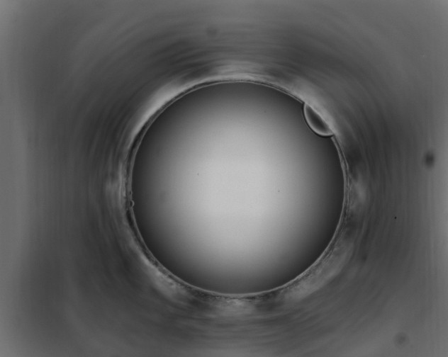 X0000102351101200808081149