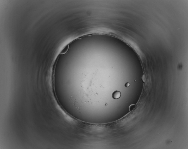 X0000102351103200808081148