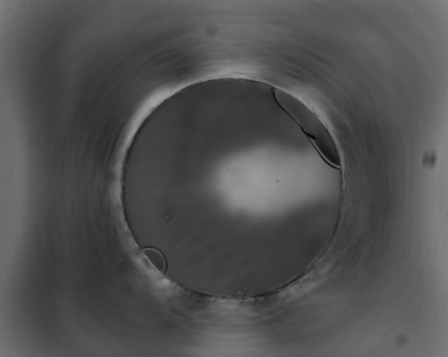 X0000102351104200808081148