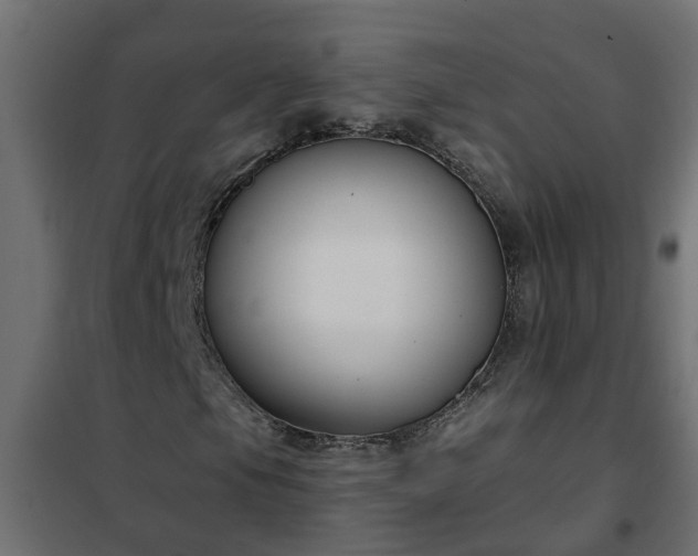 X0000102351105200808081148