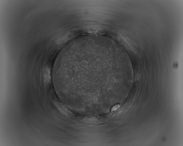 X0000102351106200808081148