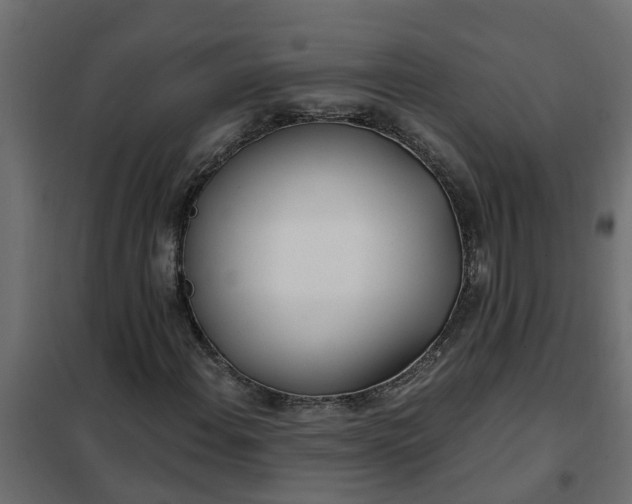 X0000102351108200808081148