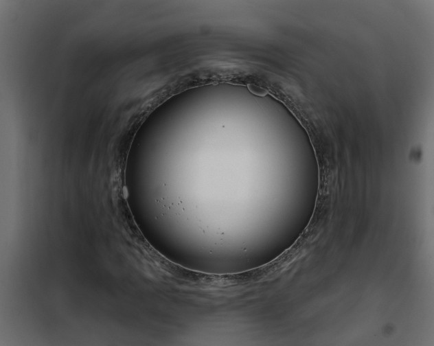 X0000102351109200808081148