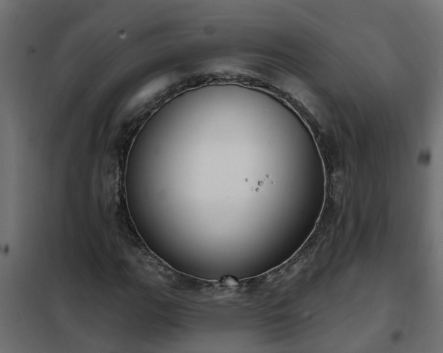 X0000102351111200808081148