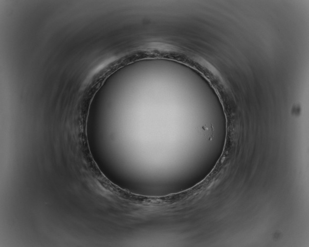 X0000102351112200808081148