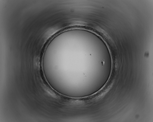 X0000102351113200808081148