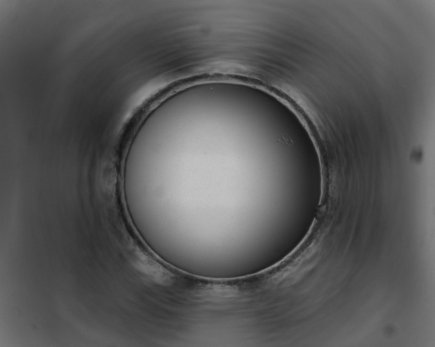 X0000102351115200808081148