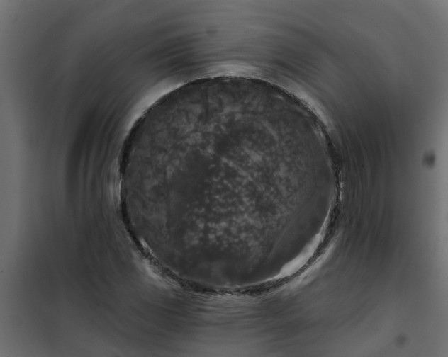 X0000102351117200808081148