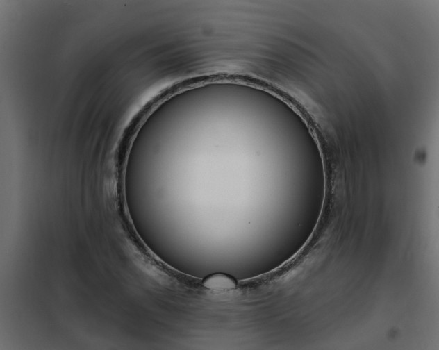 X0000102351118200808081148