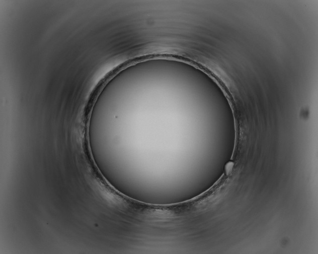 X0000102351119200808081148