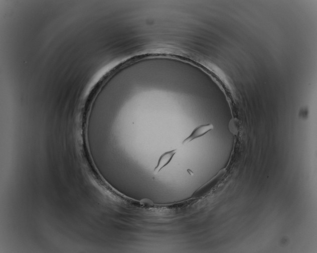 X0000102351120200808081148