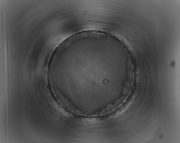 X0000102351121200808081148