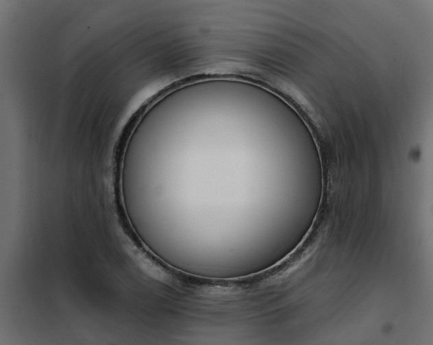 X0000102351122200808081148