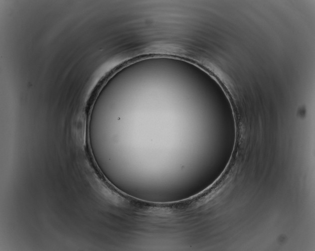 X0000102351123200808081148