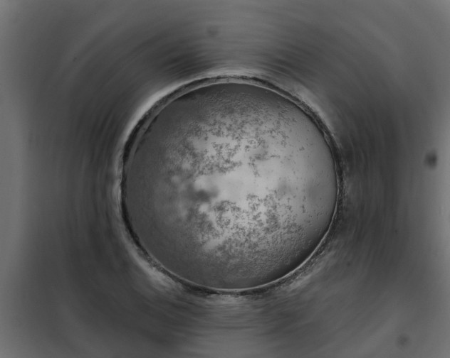 X0000102351124200808081148