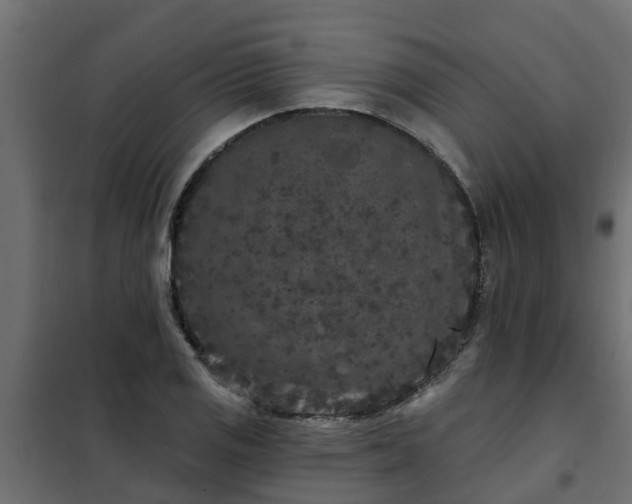 X0000102351125200808081148