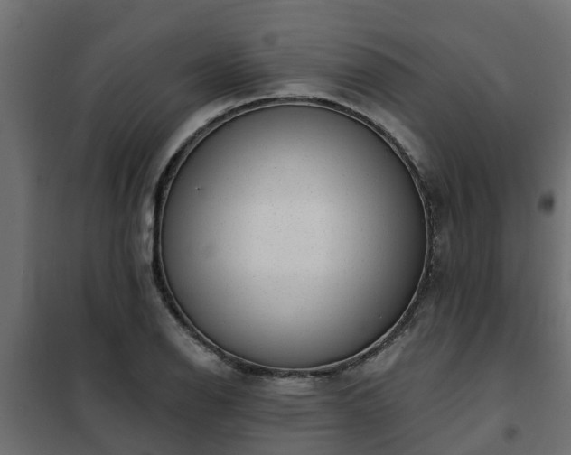 X0000102351126200808081148