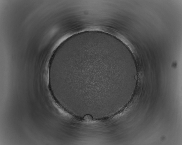 X0000102351127200808081148