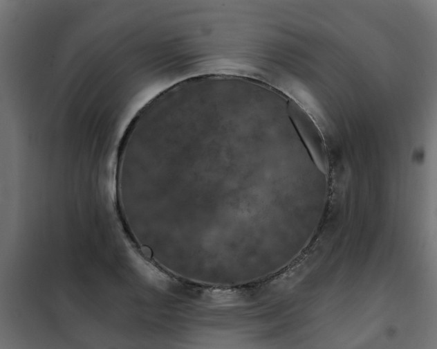 X0000102351128200808081148