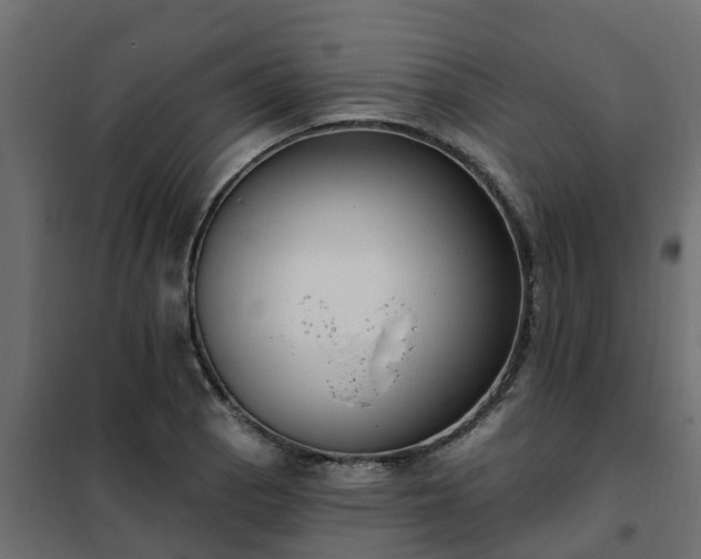 X0000102351129200808081148