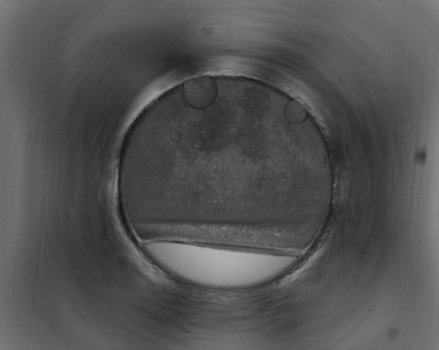 X0000102351130200808081148