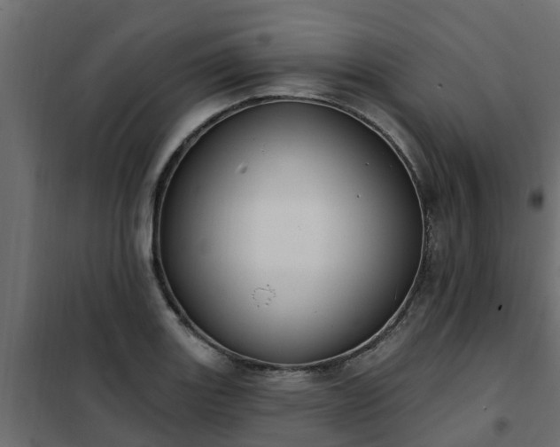 X0000102351131200808081148