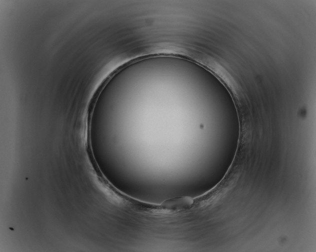 X0000102351132200808081148