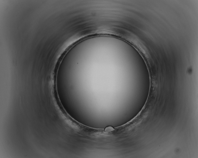 X0000102351133200808081148