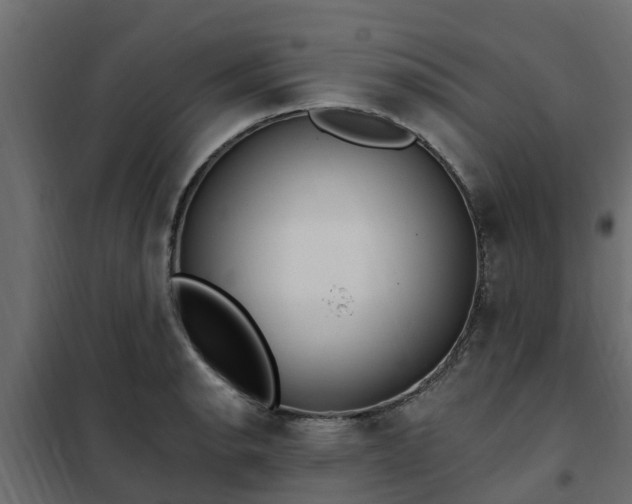 X0000102351134200808081148