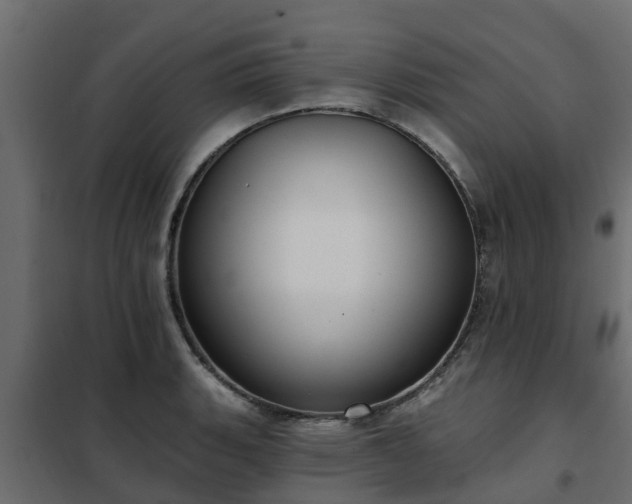 X0000102351135200808081148