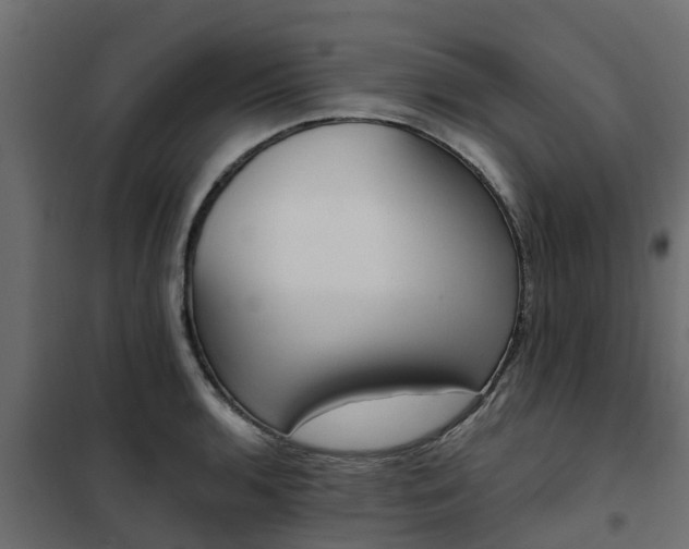 X0000102351136200808081148