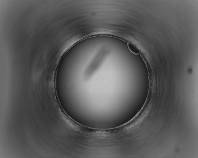 X0000102351137200808081148