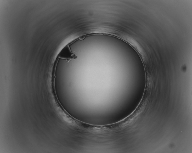 X0000102351138200808081148