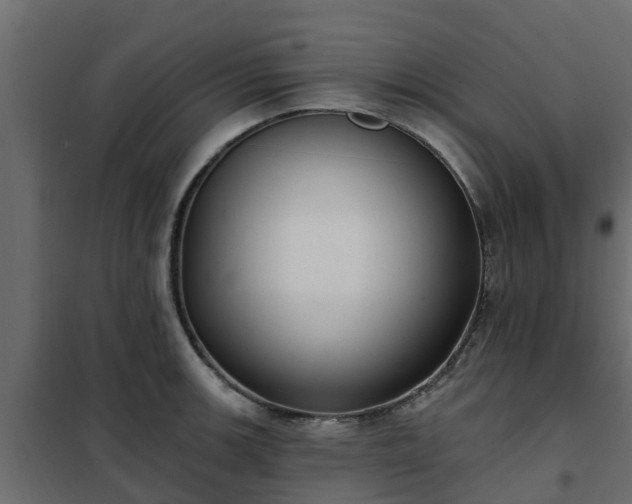 X0000102351139200808081148