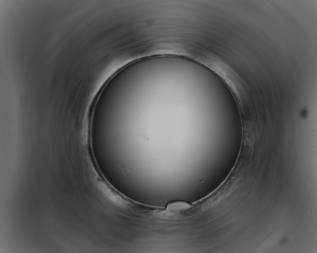 X0000102351140200808081148